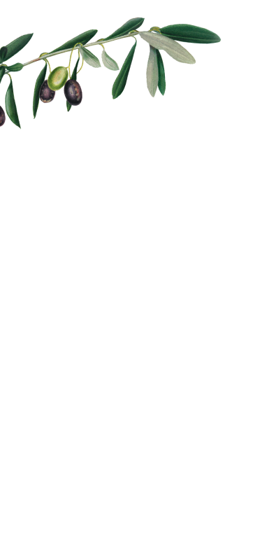 booking-image-02.png