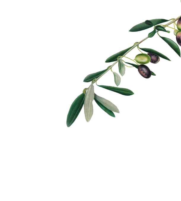 header-image-03.png