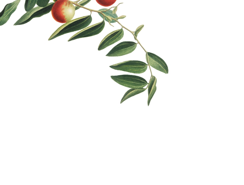 header-image-04.png