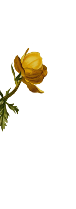 loc-image.png