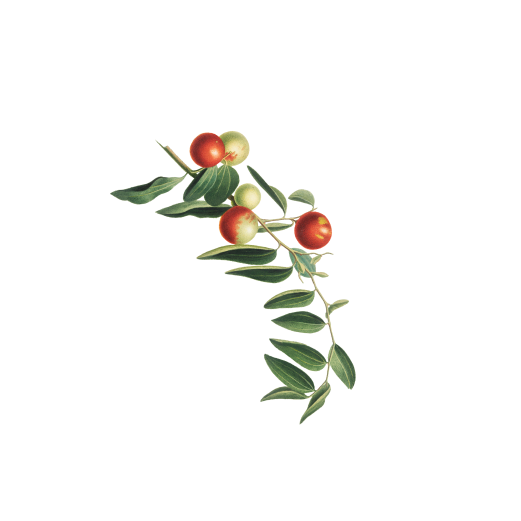 services-image-02